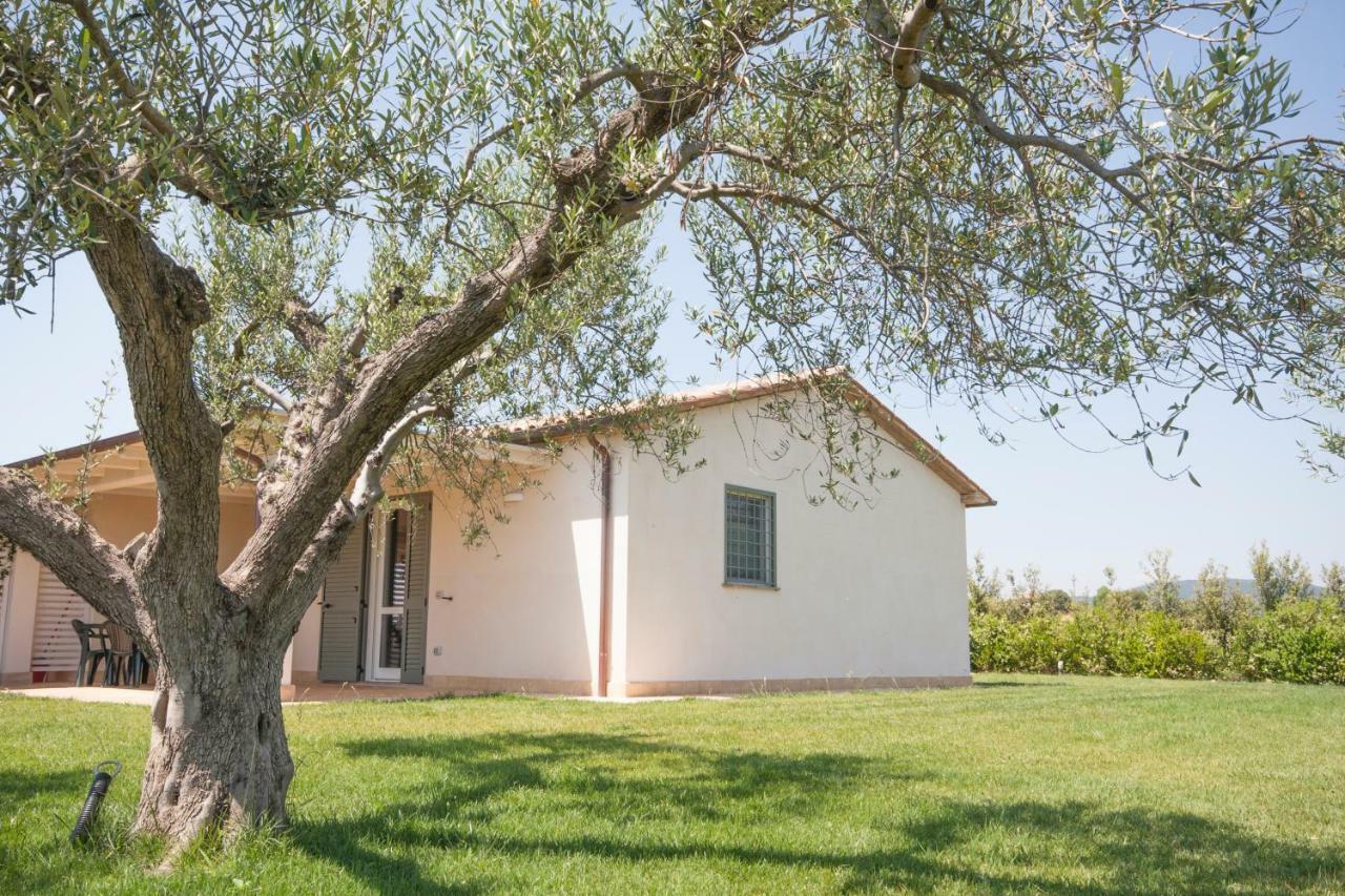Agriturismo Il Mirto Пеша-Романа Екстер'єр фото